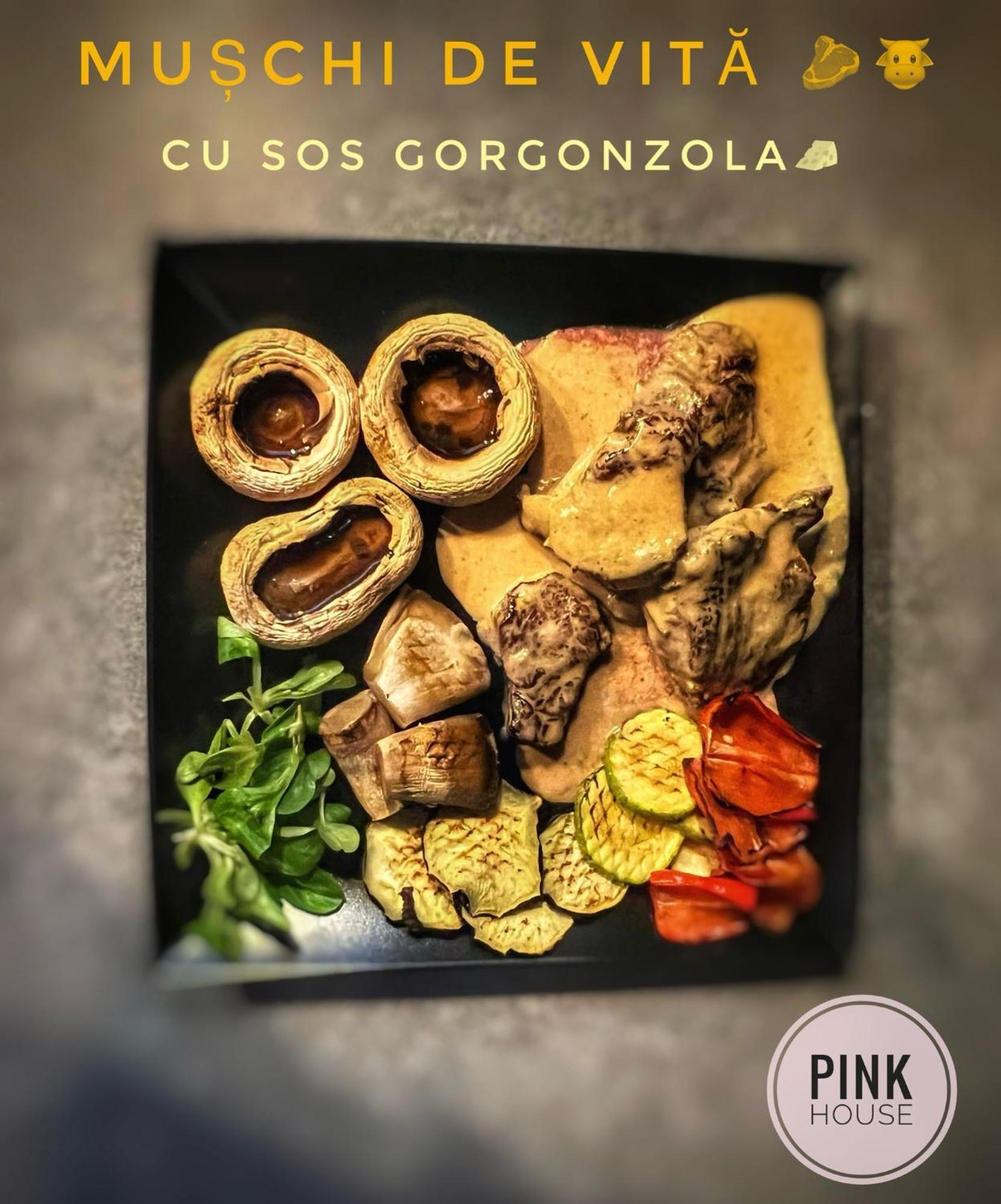 Pensiunea Pink House Runcu 호텔 룬쿠 외부 사진